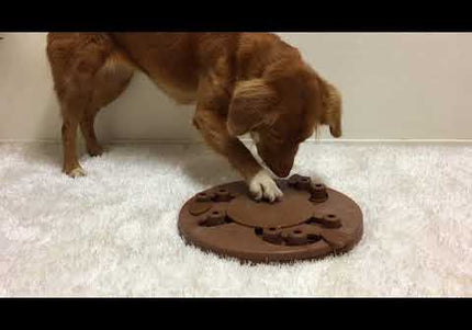 Nina Ottosson Dog Worker Level 3 Puzzle – Interactive Educational Game, Advanced Challenge