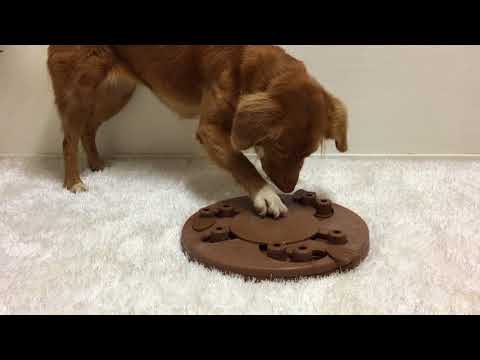 Nina Ottosson Dog Worker Level 3 Puzzle – Interactive Educational Game, Advanced Challenge