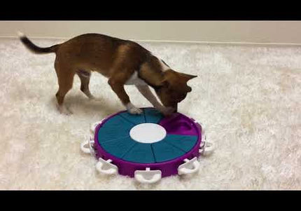 Nina Ottosson Dog Twister Level 3 – Interactive Logic Puzzle Toy, Advanced Challenge Design