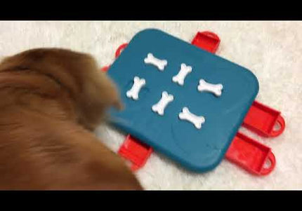 Nina Ottosson Dog Casino Level 3 Puzzle – Interactive Treat-Dispensing Game, Advanced Challenge