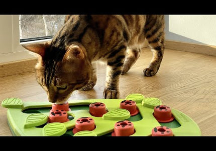 Nina Ottosson Cat Buggin' Out Puzzle – Interactive Level 2 Educational Enrichment Toy