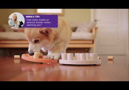 Nina Ottosson Dog Smart Level 1 Puzzle Game – Durable Composite, Easy Interactive Design in Orange