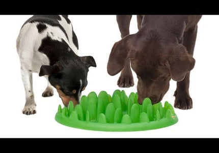 Northmate Green Slow Feeder Bowl – Durable Dark Green Anti-Gulping Design, Promotes Healthy Eating