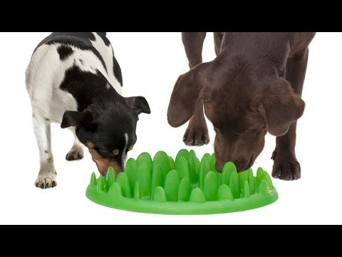 Northmate Green Slow Feeder Bowl – Durable Dark Green Anti-Gulping Design, Promotes Healthy Eating