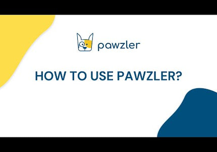 Pawzler Interactive Dog Puzzle Rainbow Set – Modular Enrichment Toy, 8-Piece Colorful Design