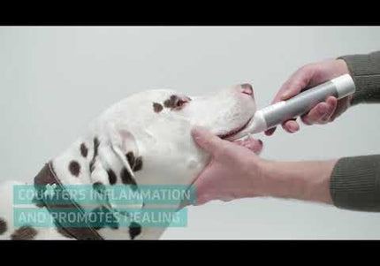 Cleany Teeth Ultrasonic Toothbrush Starter Pack – Advanced Plaque Removal, Gentle Dental Care