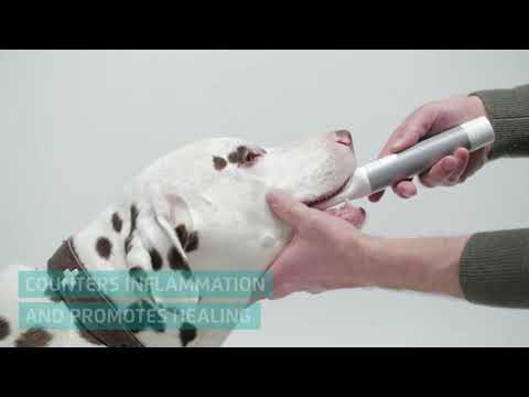 Cleany Teeth Ultrasonic Toothbrush Starter Pack – Advanced Plaque Removal, Gentle Dental Care