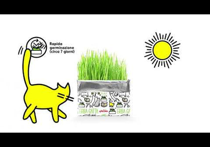 Record Erba Gatta Cat Grass Kit – 120g Rye Seeds, Easy-Grow Solution for Hairball Control