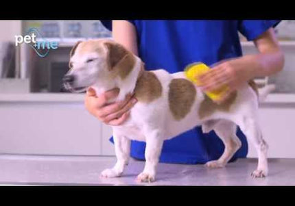 Pet+Me Medium Silicone Brush Yellow – Versatile Gentle Grooming Tool for All Fur Types