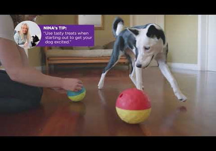 Nina Ottosson Treat Tumble Level 1 – Interactive Logic Ball, 14.6cm, Durable Puzzle Toy