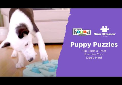 Nina Ottosson Puppy Tornado – Interactive Level 2 Puzzle Game, Durable Spinning Treat Dispenser