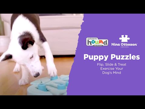 Nina Ottosson Puppy Tornado – Interactive Level 2 Puzzle Game, Durable Spinning Treat Dispenser