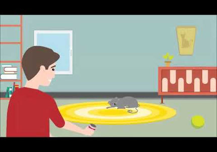 Relaxopet Animal Relaxation Trainer Pro – Calming Sound Device with Adjustable Settings for Cats