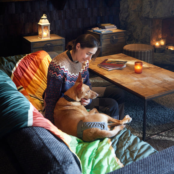 Hurtta Breezy Hygiene Pants Eco – XL Reusable Dog Heat Pants, Comfortable Fit, Eco-Friendly Material