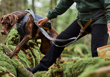 Hurtta Expedition Belt Eco – Adjustable Lightweight Running Belt with Secure Leash Attachment