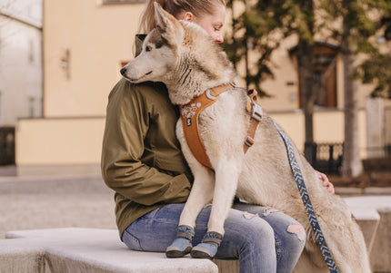 Hurtta Weekend Warrior Harness Desert – Adjustable Outdoor Harness, Durable Design, Size 40-45cm