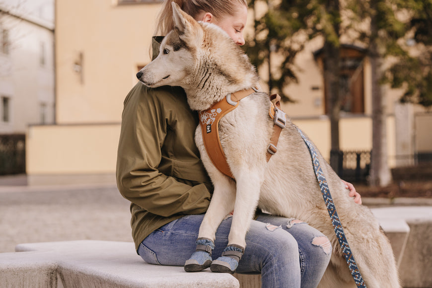 Hurtta Weekend Warrior Harness Desert – Adjustable Outdoor Harness, Durable Design, Size 40-45cm