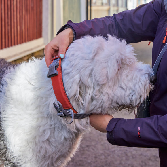 Hurtta Rover Collar for Medium and Large Dogs
