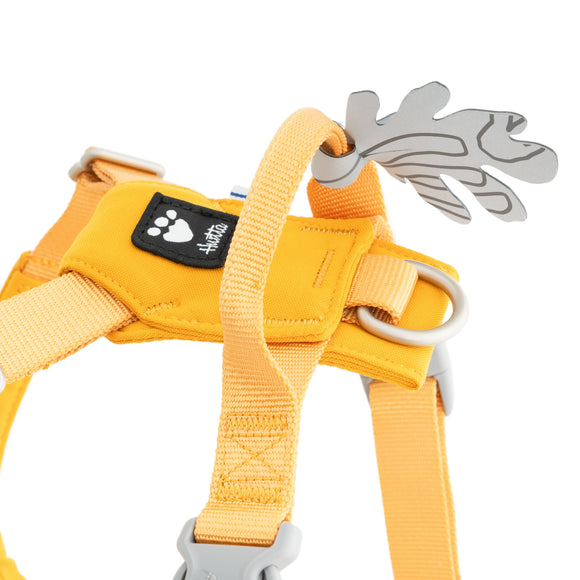 Hurtta Seeker Adjustable Dog Harness