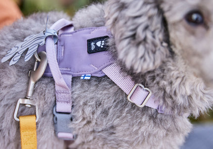 Hurtta Seeker Adjustable Dog Harness