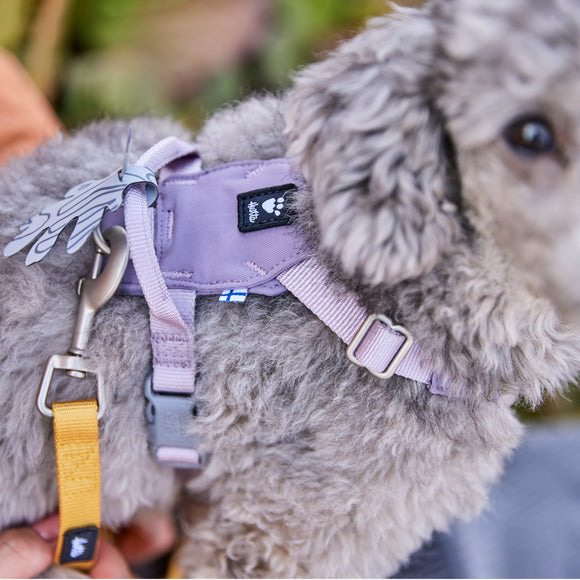 Hurtta Seeker Adjustable Dog Harness