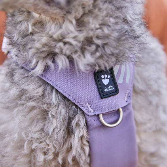 Hurtta Seeker Adjustable Dog Harness