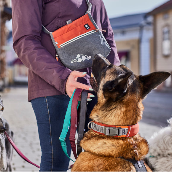Hurtta Treat Pocket Mix Dog Training Treat Pouch