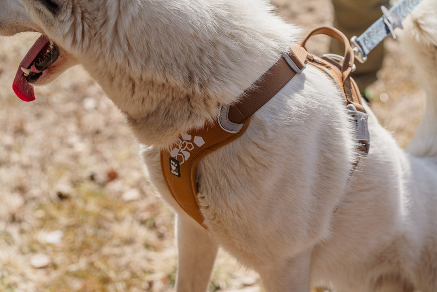 Hurtta Weekend Warrior Harness Desert – Adjustable Outdoor Harness, Durable Design, Size 40-45cm