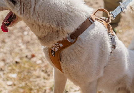 Hurtta Weekend Warrior Harness Desert – Adjustable Outdoor Harness, Durable Design, Size 40-45cm