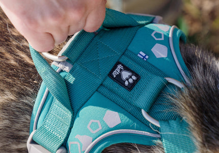 Hurtta Weekend Warrior Harness Peacock – Adjustable Durable Design, Size 80-100cm, Active Comfort