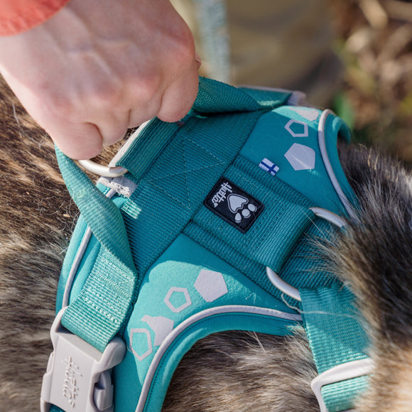 Hurtta Weekend Warrior Harness Peacock – Adjustable Durable Design, Size 80-100cm, Active Comfort