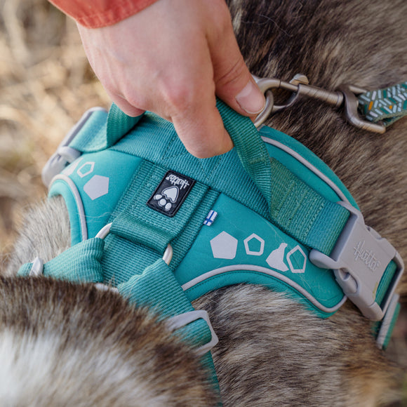 Hurtta Weekend Warrior Harness Peacock – Adjustable Durable Design, Size 80-100cm, Active Comfort