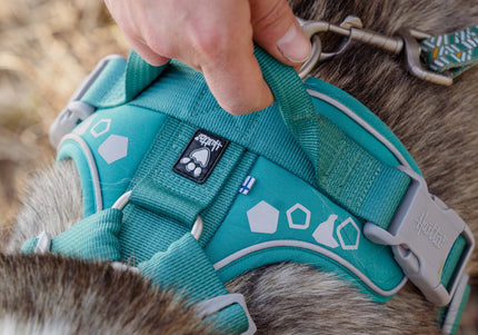 Hurtta Weekend Warrior Harness Peacock – Adjustable Durable Design, Size 80-100cm, Active Comfort