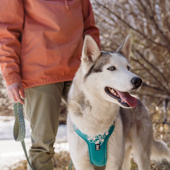 Hurtta Weekend Warrior Harness Peacock – Adjustable Durable Design, Size 80-100cm, Active Comfort