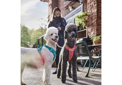 Hurtta Weekend Warrior Ruby Harness – Adjustable Durable Design, 80-100cm Chest Size