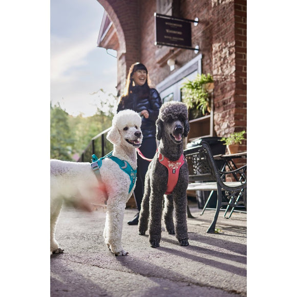 Hurtta Weekend Warrior Ruby Harness – Adjustable Durable Design, 80-100cm Chest Size