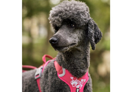 Hurtta Weekend Warrior Ruby Harness – Adjustable Durable Design, 80-100cm Chest Size