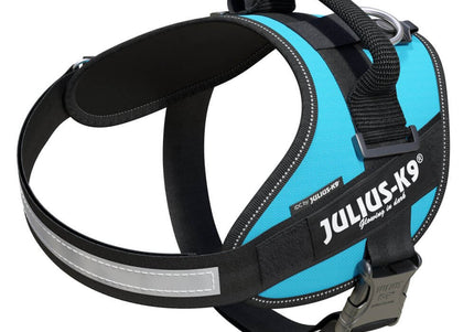 Julius-K9 IDC Powerharness Aquamarine – Premium Turquoise Harness, Adjustable, Size 1