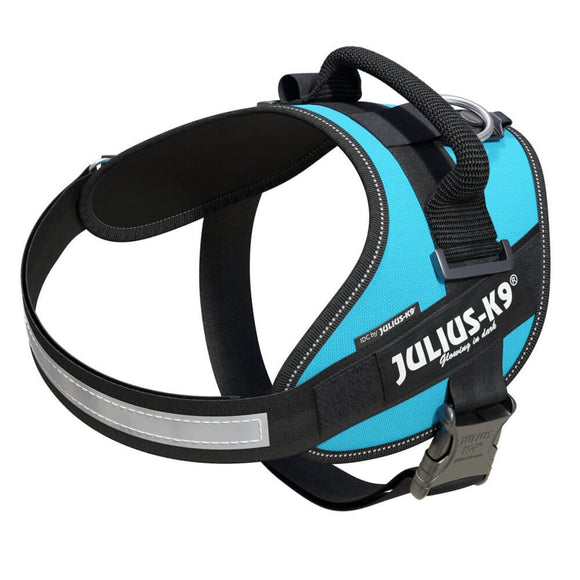 Julius-K9 IDC Powerharness Aquamarine – Premium Turquoise Harness, Adjustable, Size 1