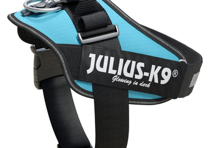Julius-K9 IDC Powerharness Aquamarine – Premium Turquoise Harness, Adjustable, Size 1