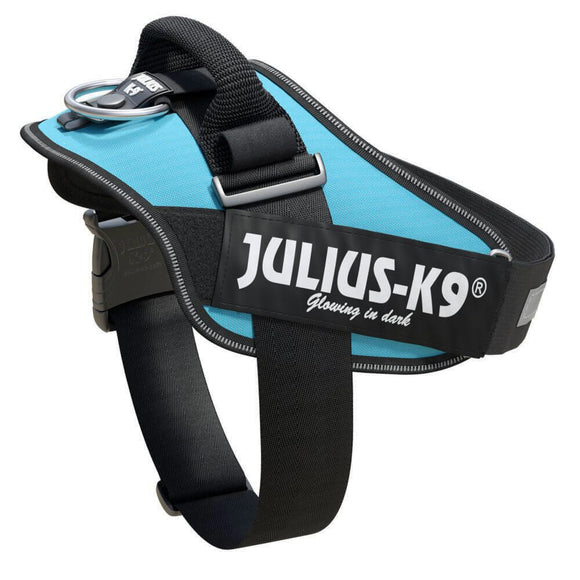 Julius-K9 IDC Powerharness Aquamarine – Premium Turquoise Harness, Adjustable, Size 1