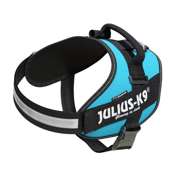 Julius-K9 IDC Powerharness Aquamarine – Premium Turquoise Harness, Adjustable, Size 1