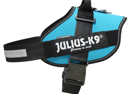 Julius-K9 IDC Powerharness Aquamarine – Premium Turquoise Harness, Adjustable, Size 1