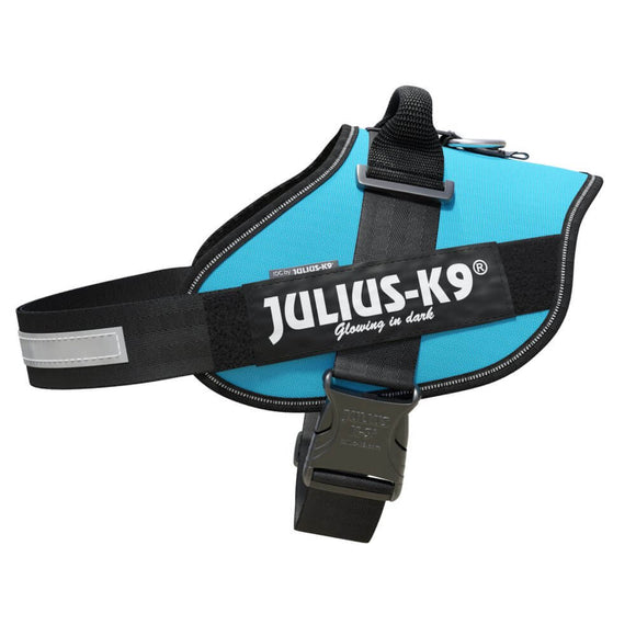 Julius-K9 IDC Powerharness Aquamarine – Premium Turquoise Harness, Adjustable, Size 1