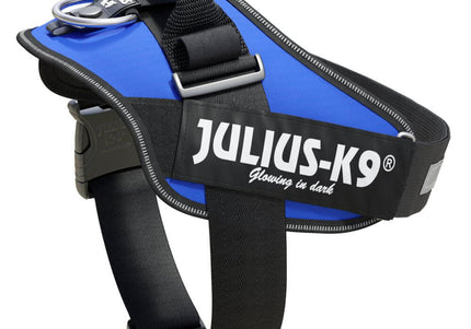 Julius-K9 IDC Powerharness Blue – Premium Adjustable Harness, Durable Design, Size 4