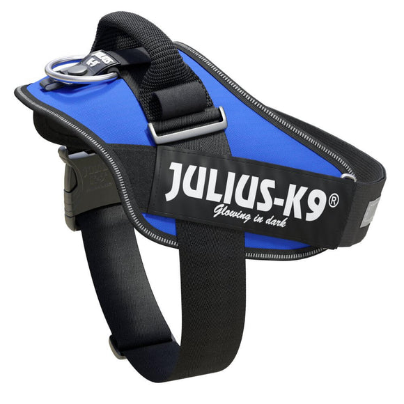Julius-K9 IDC Powerharness Blue – Premium Adjustable Harness, Durable Design, Size 4