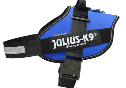 Julius-K9 IDC Powerharness Blue – Premium Adjustable Harness, Durable Design, Size 4
