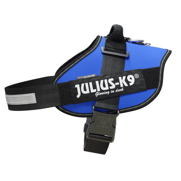 Julius-K9 IDC Powerharness Blue – Premium Adjustable Harness, Durable Design, Size 4