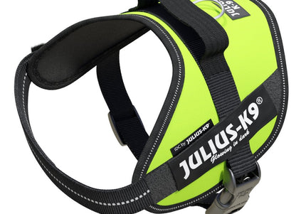 Julius-K9 IDC Powerharness Lime – Premium Adjustable Harness, High-Visibility Lime, Size 3