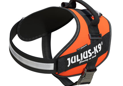Julius-K9 IDC Powerharness UV Orange – Premium Adjustable Harness, Size 4, High-Visibility Design